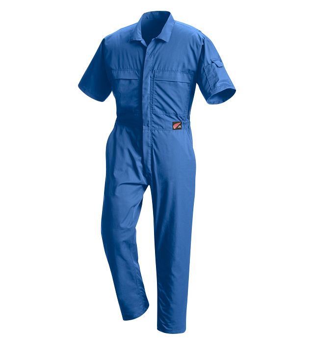 Short sleeve best sale overalls