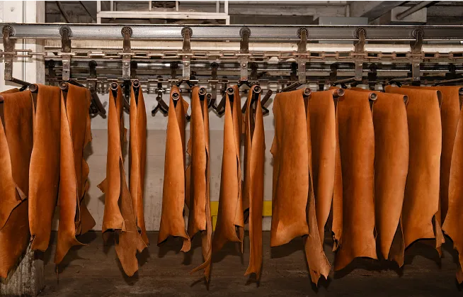 Leather hides hung up
