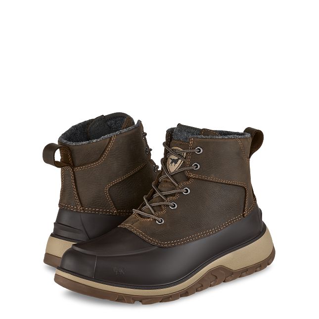 Northshore | IrishSetter