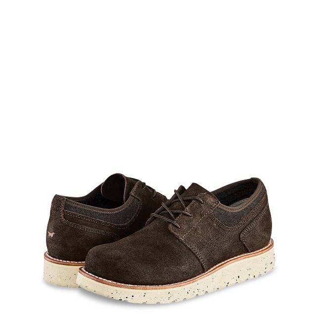 Setter Fifty® | IrishSetter