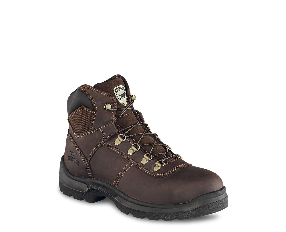 irish setter 83608