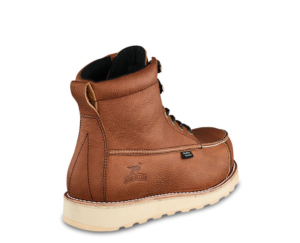 wingshooter st irish setter