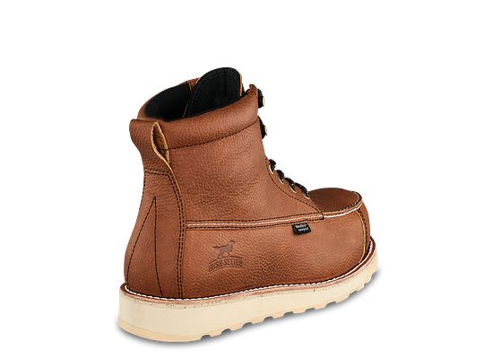 irish setter 83632