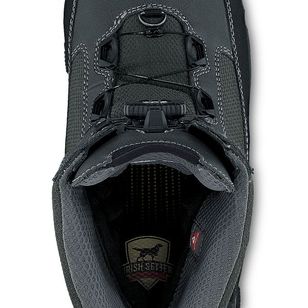 irish setter ice trek