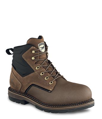 irish setter 83800