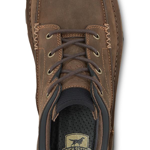 irish setter borderland oxford