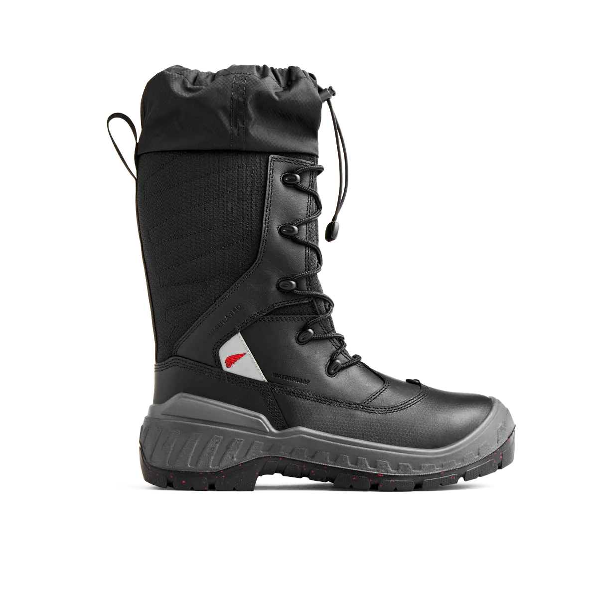 Polar X - view 1