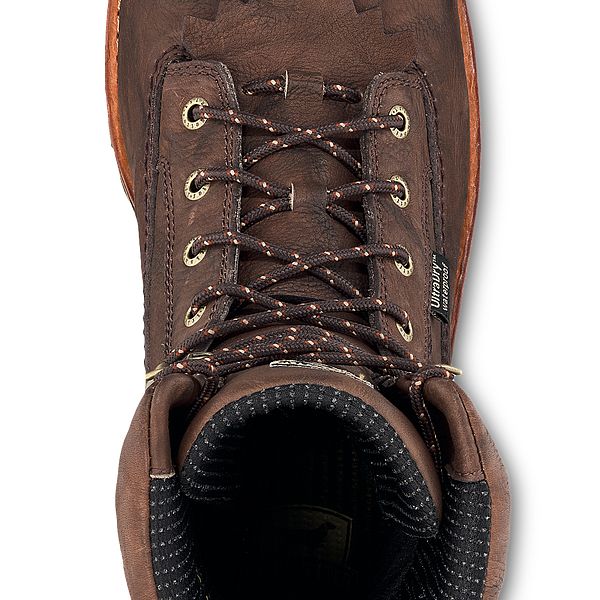 irish setter elk tracker