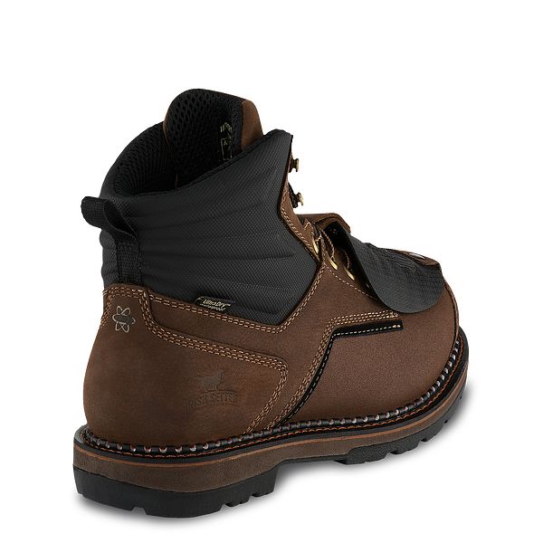 irish setter met guard boots