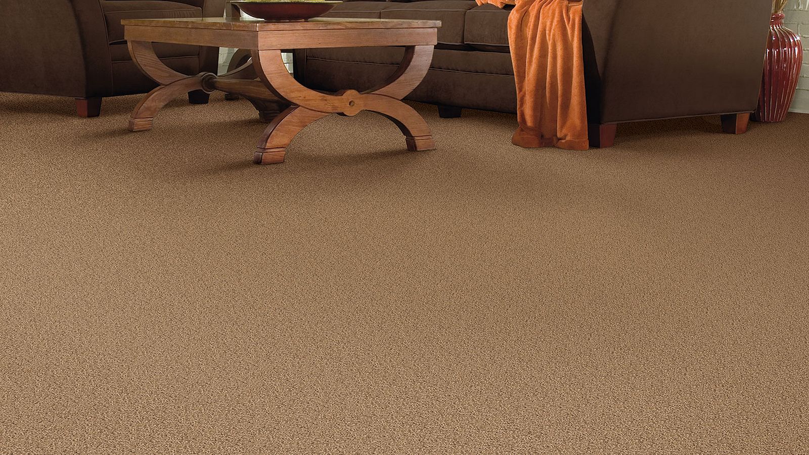 R2X Carpet Cleaner Shaw Floors Costco