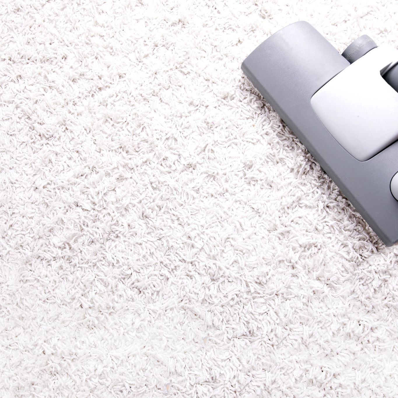 Carpet flooring in Orange Park Fantastic Floors