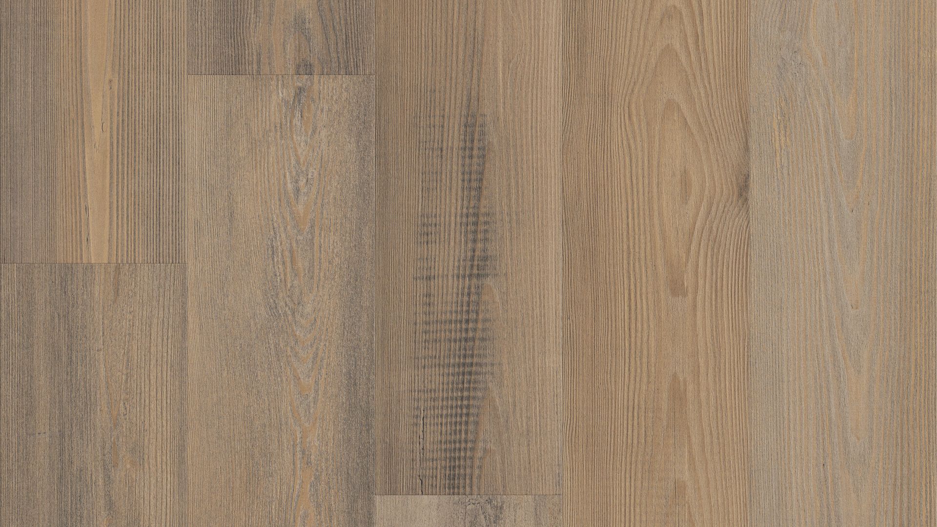 Privet Pine EVP Vinyl Flooring Product Shot