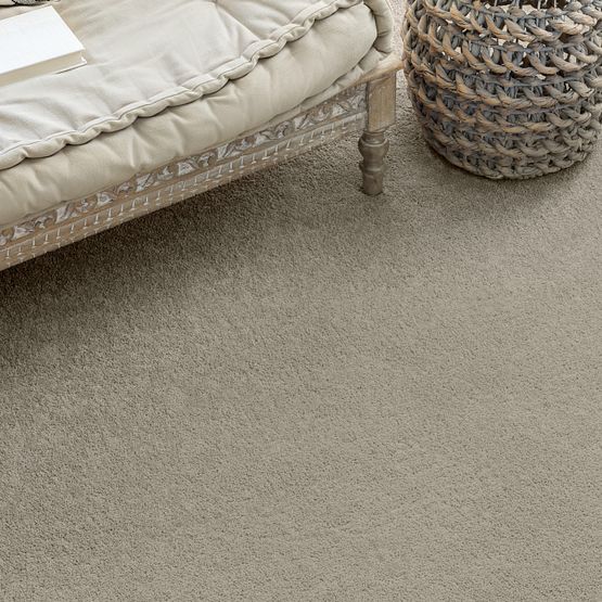 Pawparazzi Ii (ZZ093-00711) Carpet Flooring | Anderson Tuftex