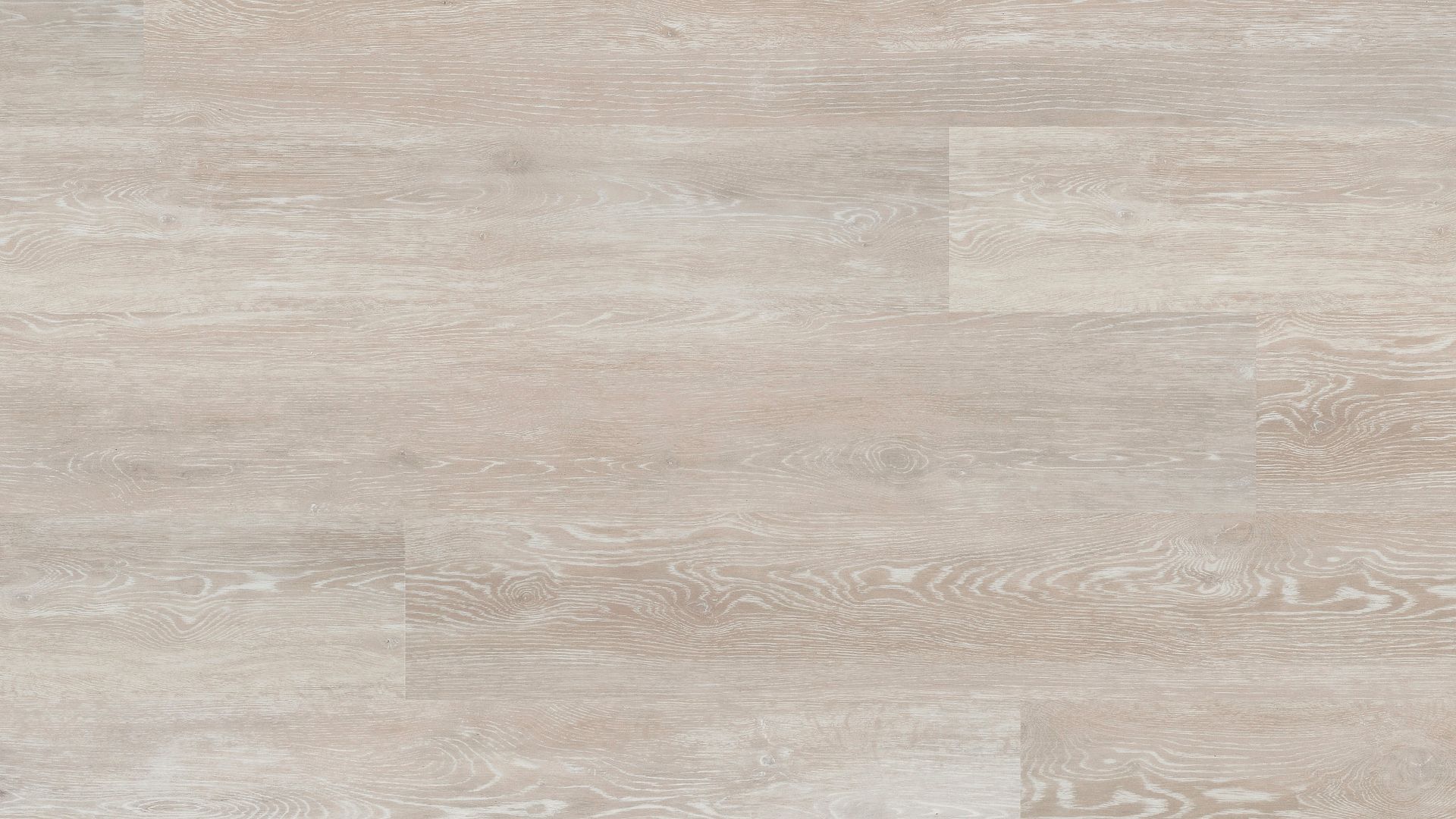 Ivory Coast Oak