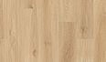 springfield oak