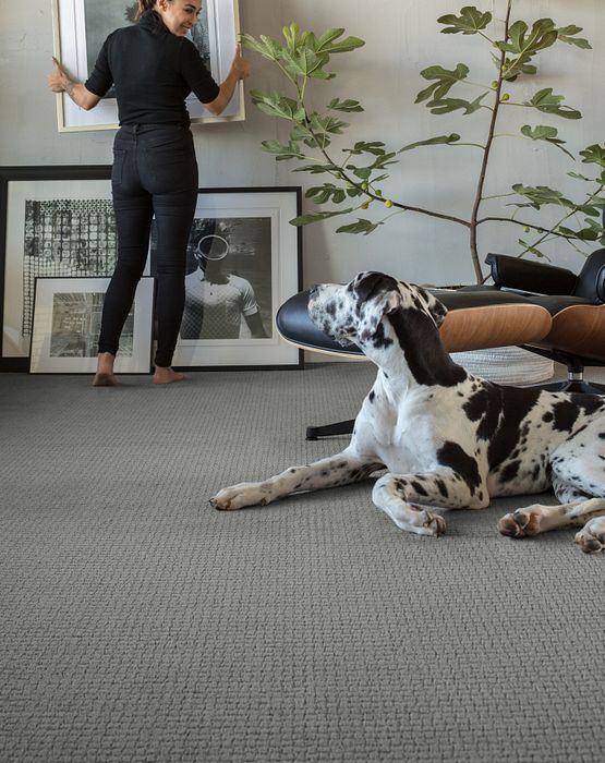 Stainmaster Petprotect Anderson Tuftex