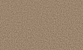 WONDEROUS-HDP06-TOAST-06702-main-image