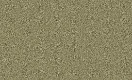 STAR-PERFORMER-HDP02-CITRUS-SPLASH-02300-main-image