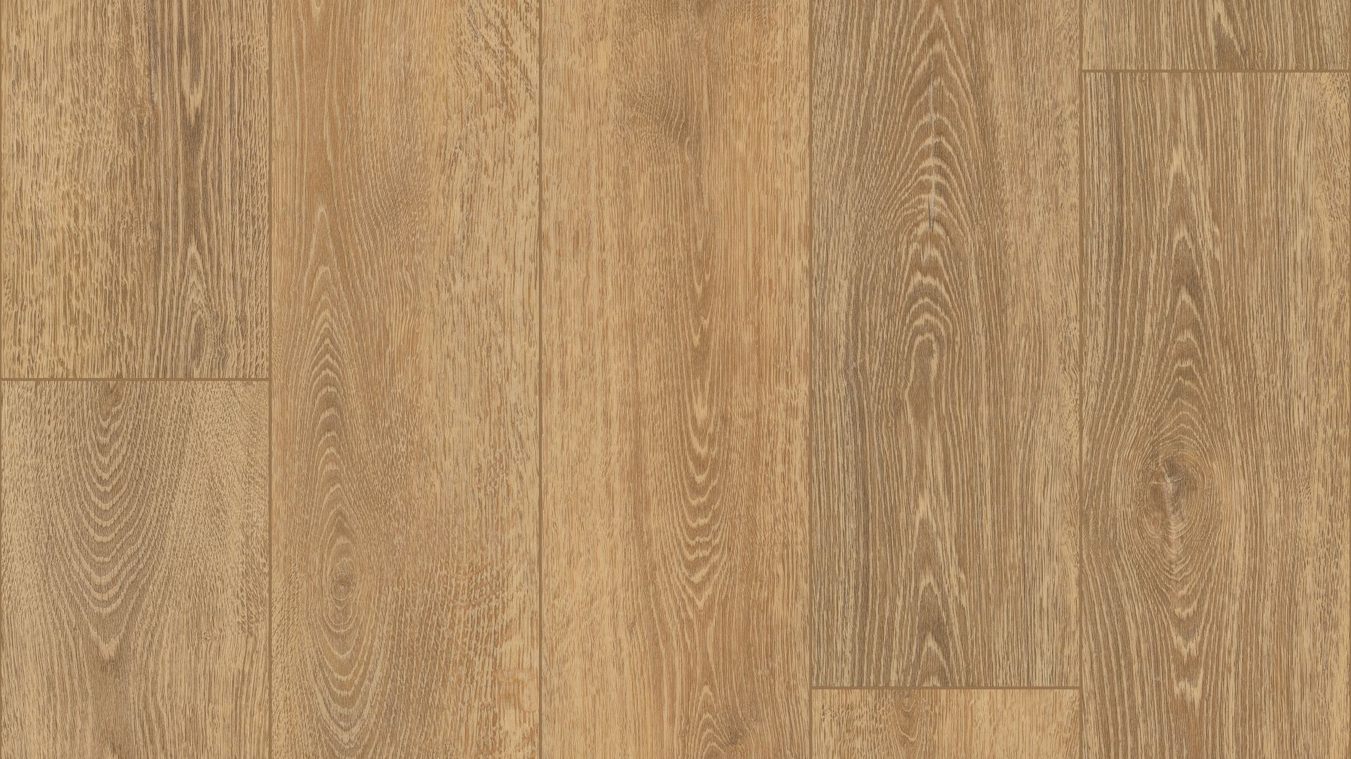 Tampa Oak EVP Vinyl Flooring Product Shot
