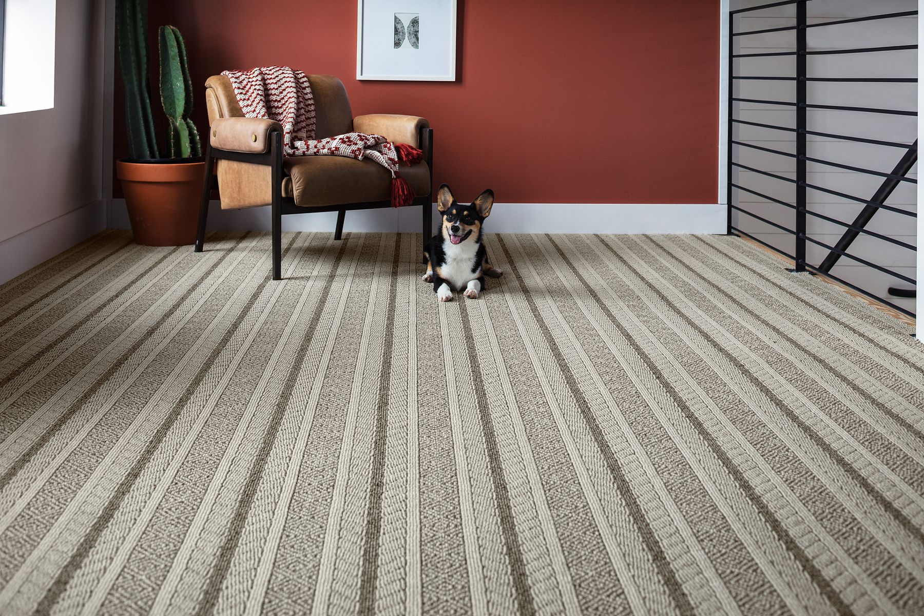 to Carpets Plus of Raleigh in Raleigh