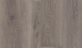 cigar oak