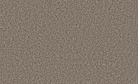 STAR-PERFORMER-HDP02-TEMPTING-TAUPE-02701-main-image