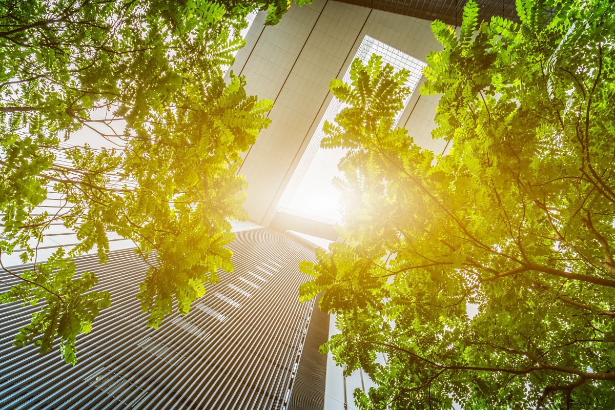 Sustainable architecture with natural light and greenery Modern architectural building with green foliage and sunlight filtering through