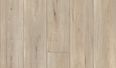capetown maple