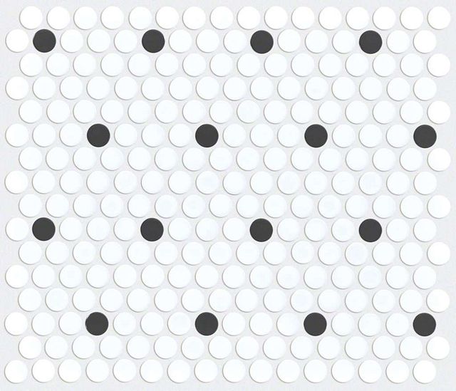 Designer Spotlight Polka Hoover Penny Matte Black and White.JPG