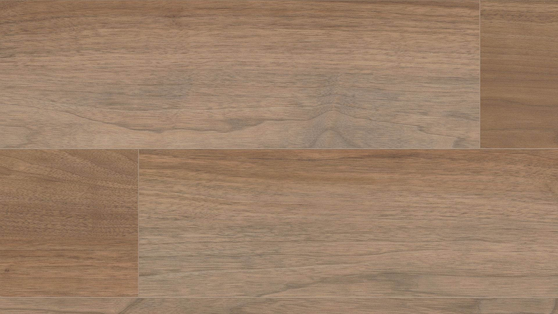 Sagamore Walnut Sagamore Walnut