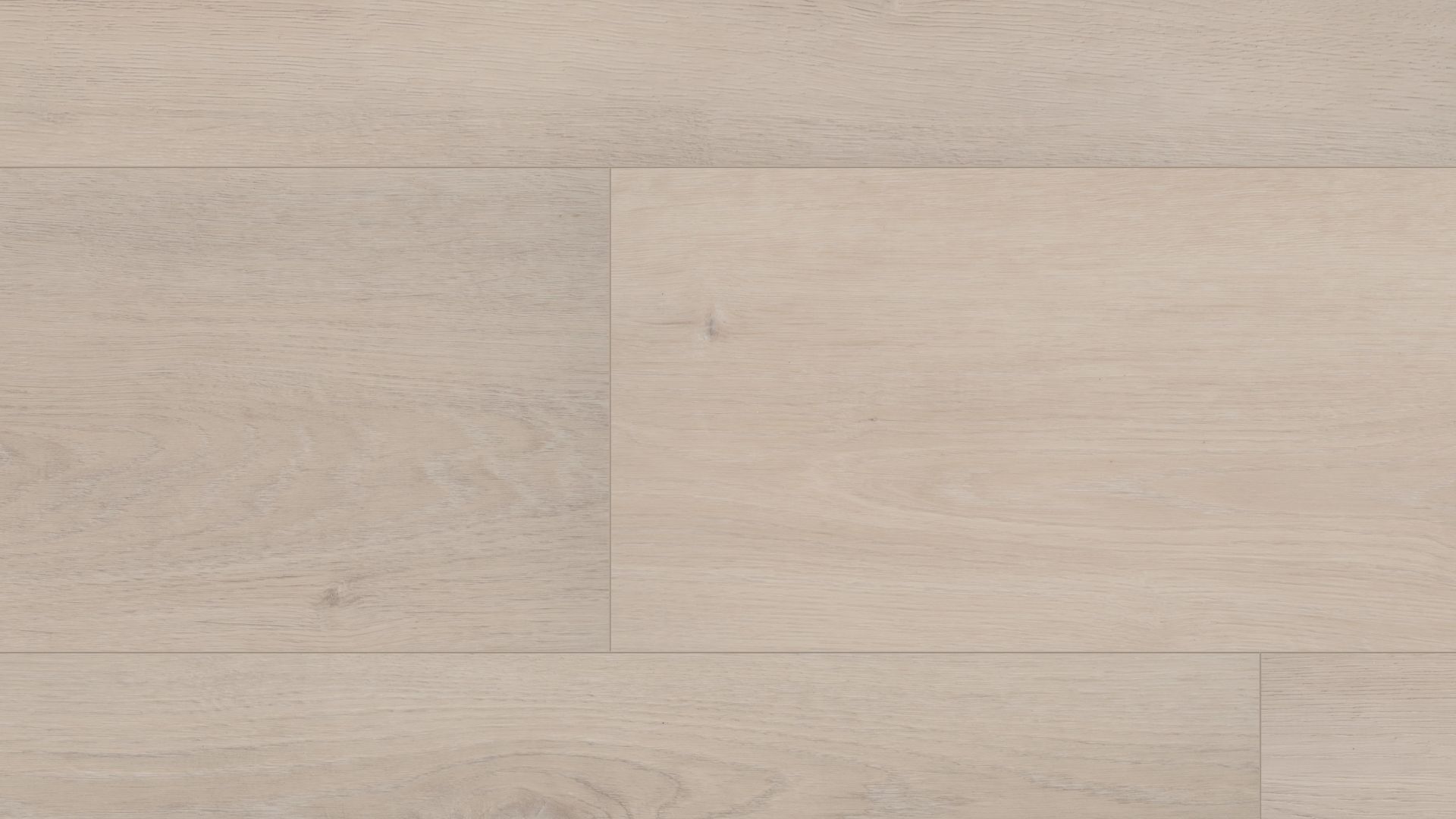 Grande Empire Oak