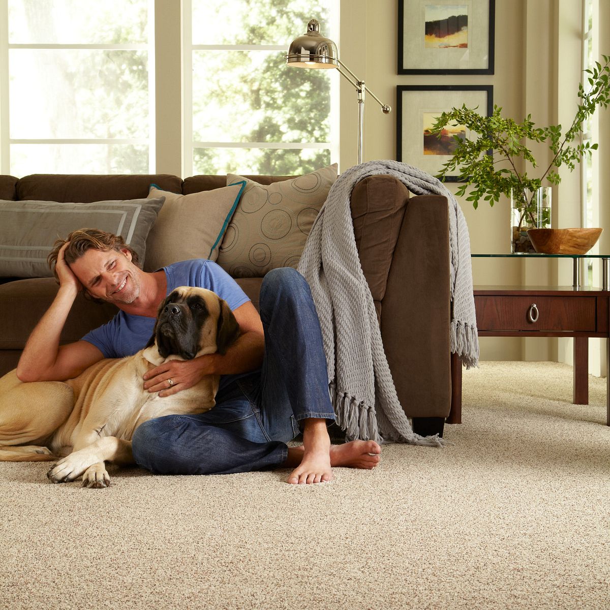 What Does Pet Carpet Stand For