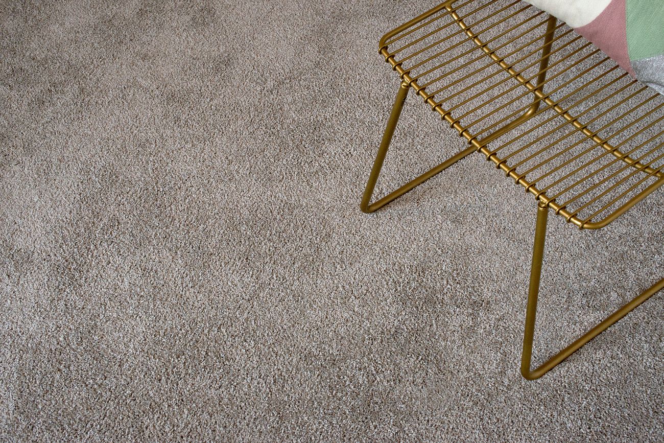 R2X Carpet Stain & Soil Remover Shaw Floors