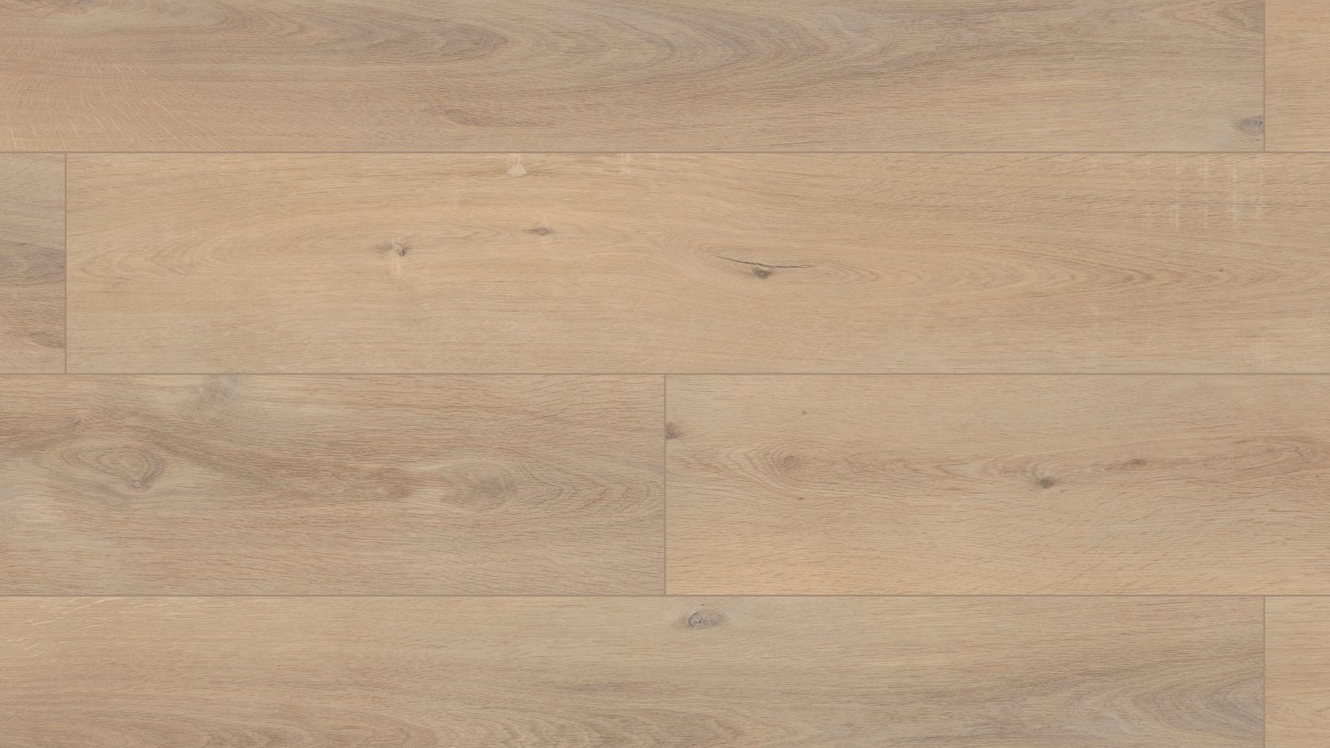 Ravenswood Oak