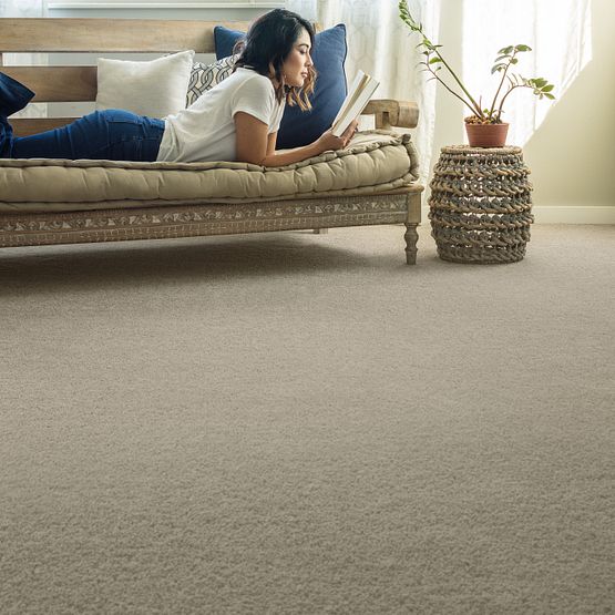 Pawparazzi Ii (ZZ093-00711) Carpet Flooring | Anderson Tuftex