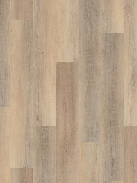 bastion elm EVP vinyl flooring
