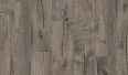 galveston oak