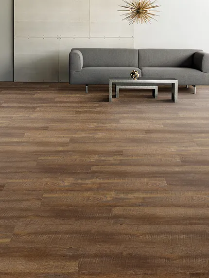 Stratum XL in Dorchester Oak