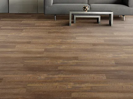 Stratum XL in Dorchester Oak