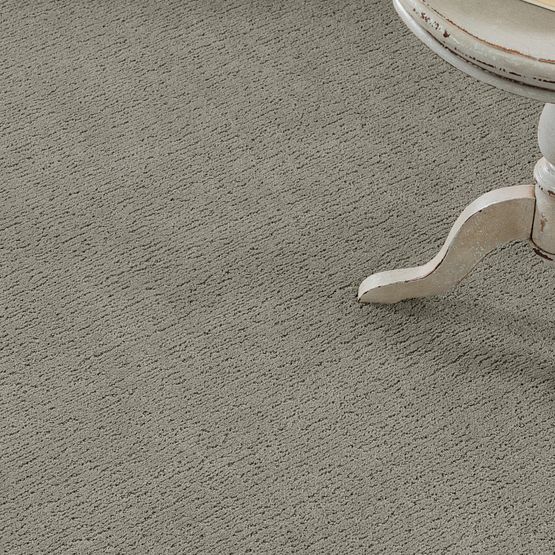Speak Zz085 00614 Carpet Flooring Anderson Tuftex