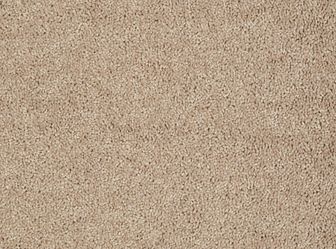 HORIZON HDP04 BUTTER PECAN 04127 main image