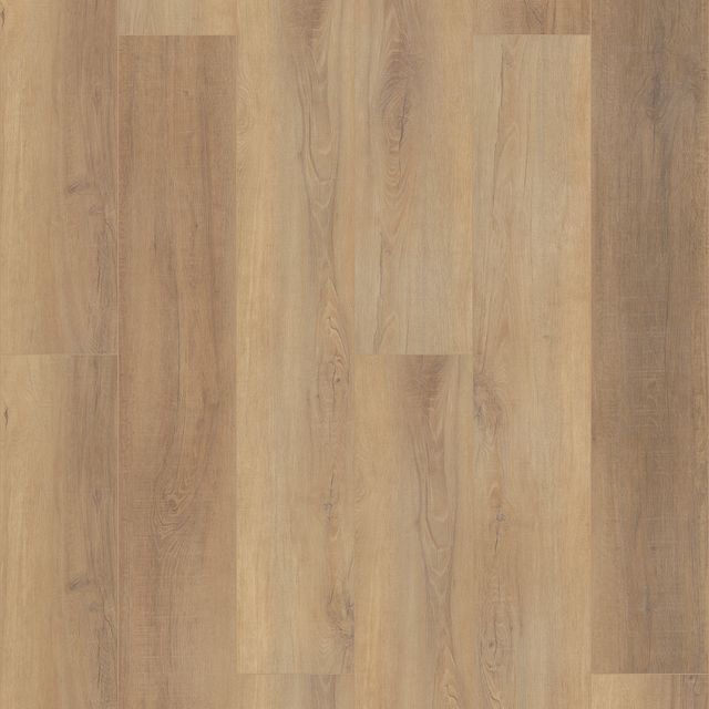 canterbury elm EVP vinyl flooring