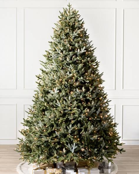 BH Fraser Fir Tree-1
