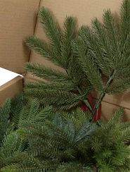 close-up photo of Christmas tree branch samples in a box