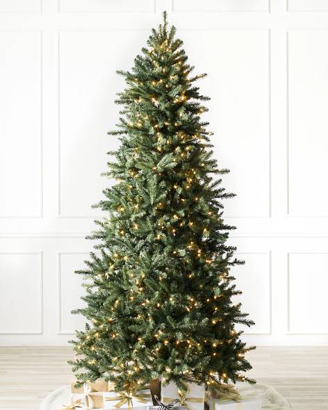 Berkshire Mountain Fir Tree-1