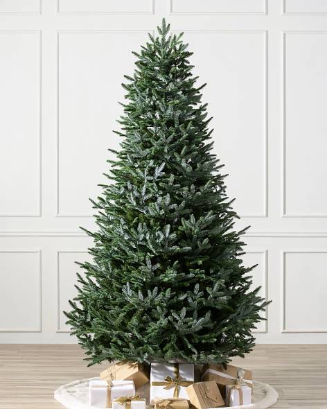 European Silver Fir Main Image