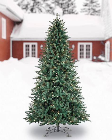 Oakville Outdoor Tree-1