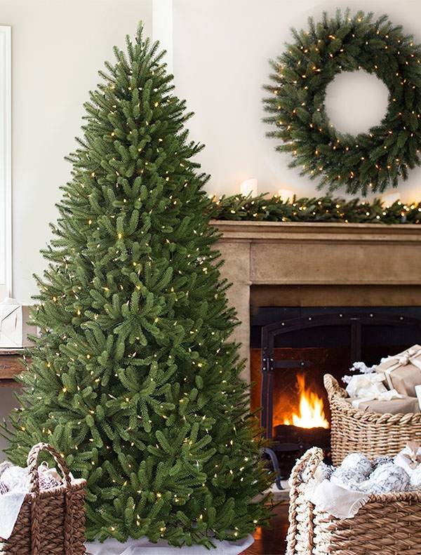Nantucket Blue Spruce Christmas Tree from Balsam Hill