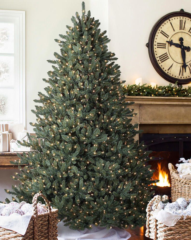 Blue Spruce Christmas Tree Balsam Hill   BLU T 6 