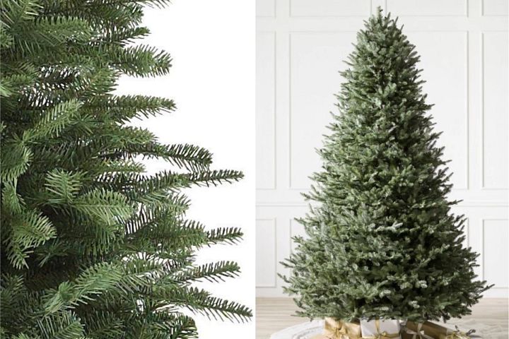 close-up and wide shots of BH Balsam Fir Christmas tree